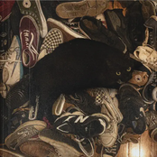 I Lost My Shoes When I Saw You