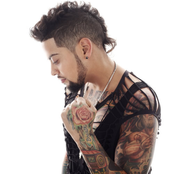 david correy