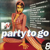 MTV Party to Go, Vol. 8