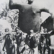 Lonesummer/Marsh (Split)