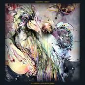 Interstellar Surfing Bird