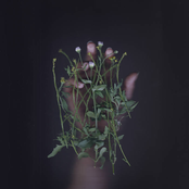 I Hate Sex / Algae Bloom / Black Knight Satellite Split