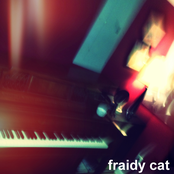 fraidy cat