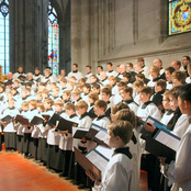 kölner domchor