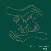 Stupid in Love