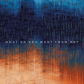 What Do You Want From Me?