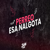 Perreo Esa Nalgota