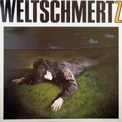 Steinzeit by Weltschmertz