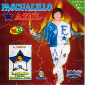 Pascualillo