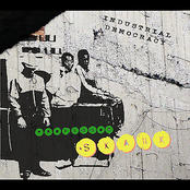 Industrial Democracy