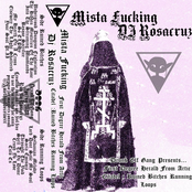 First Degree Herald From Artic Citadel: Ruined Bitches Running Loops