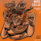 White Collar