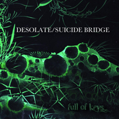 Desolate / Suicide Bridge