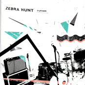 Zebra Hunt: In Phrases