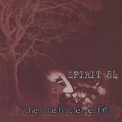 When The First Leaves Fall