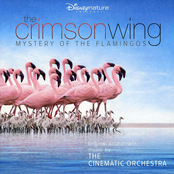 The Crimson Wing: Mystery Of The Flamingos