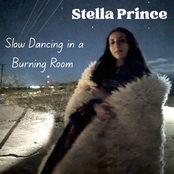 Slow Dancing in a Burning Room