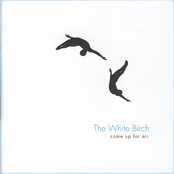 We Are Not The Ones by The White Birch