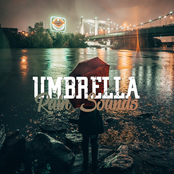 Umbrella Rain