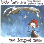 Bobby Bare Jr.: The Longest Meow