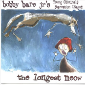 Bobby Bare Jr.: The longest meow