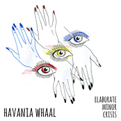 Elaborate Minor Crisis