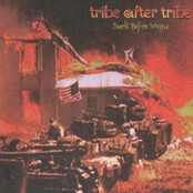 Ballad Of Winnie by Tribe After Tribe