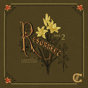 Resurrect, Vol. 2