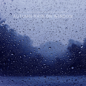 Autumn Rain on Window