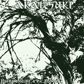 Purpose of the Moon EP