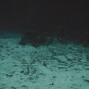 Left For Blue Island To Do Research