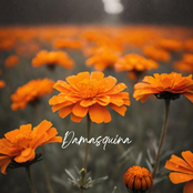 Damasquina - Single