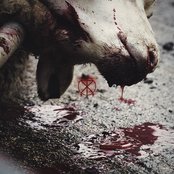 To the Grave - Cut Off the Head