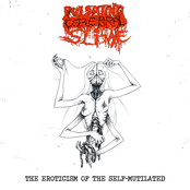 The Eroticism of the Self-Mutilated