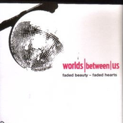 Faded Beauty - Faded Hearts