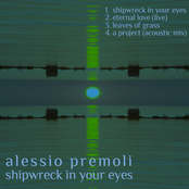 Shipwreck in your Eyes