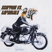 Scorpion vs. Tarantula