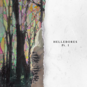 Niights: Hellebores, Pt. I