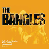Collections cover