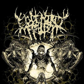 The Roar of Cerberus