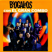 Shake It Baby by El Gran Combo De Puerto Rico