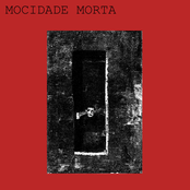 FUNERAL DAS LARVAS