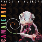 CAMALEONTE