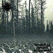 Secrets of Lifeless Territories