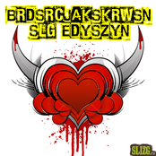 BRD SRC JAK SKRWSN SLG EDYSZYN
