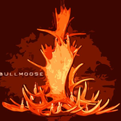 bullmoose