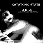 catatonic state