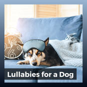 Lullabies for a Dog