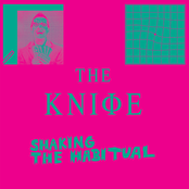 The Knife - Without You My Life Would Be Boring