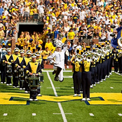 michigan wolverines